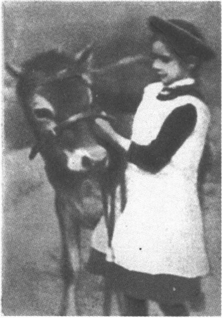 Клара с теленком Джумбо
